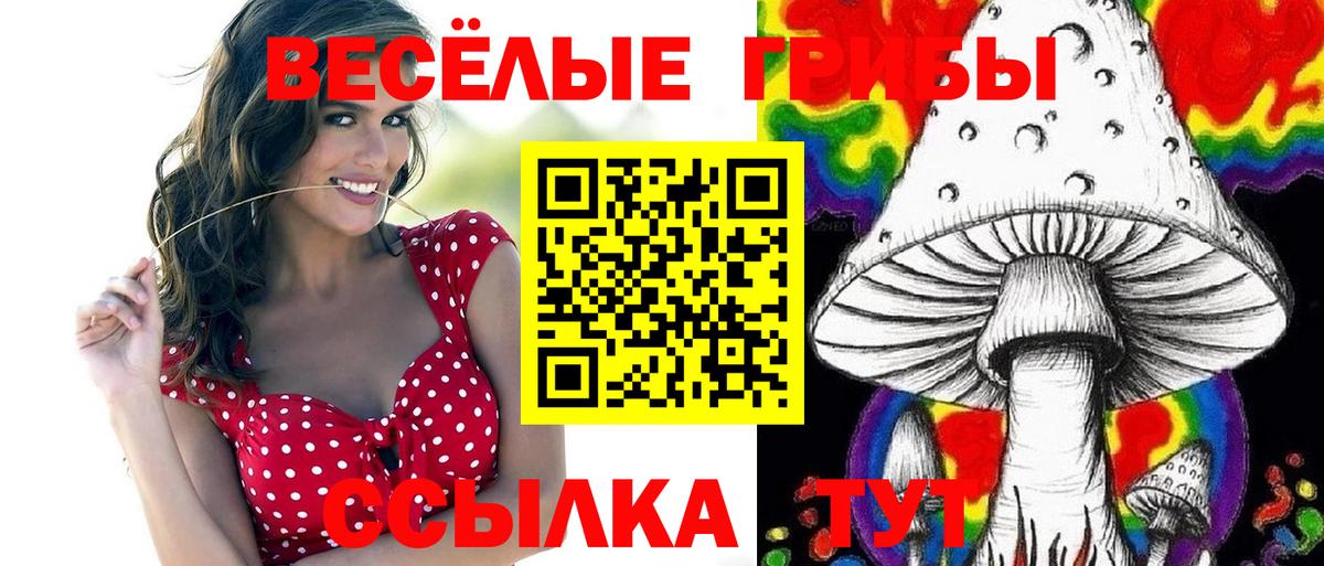 Псилоцибиновые грибы ЛСД  Псилоцибиновые грибы Psilocybine cubensis  Алатырь  Вход с VPN 