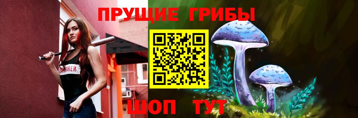 Псилоцибиновые грибы Psilocybine cubensis Алатырь